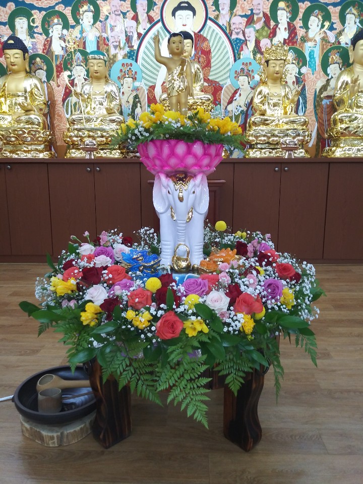 31396258_a7xgKMwh_b8a71aa5de3f6c4578bc647cebb9aa192e11f978.jpg 이미지크게보기