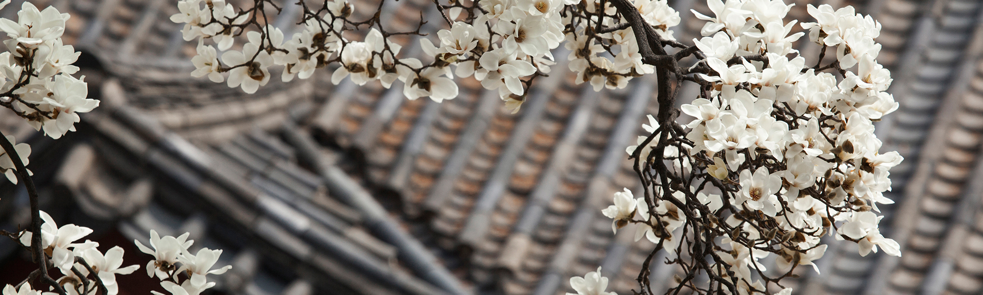 20220613160246_vspJKVEy.jpg_carousel__