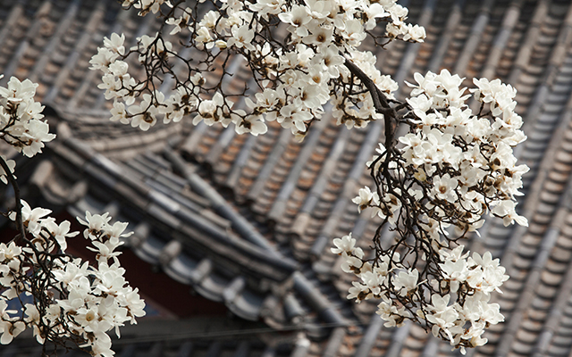 20220613160258_0SHfElWp.jpg_carousel__